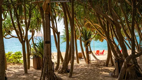 Khao Lak 2447863063