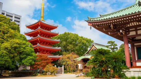 Rejser til Japan og Fukuoka