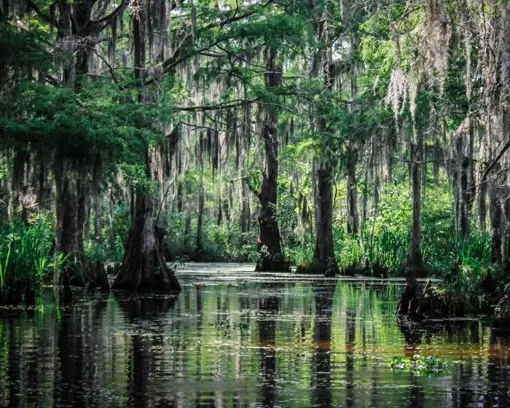 New-orleans-sump.jpg (1)