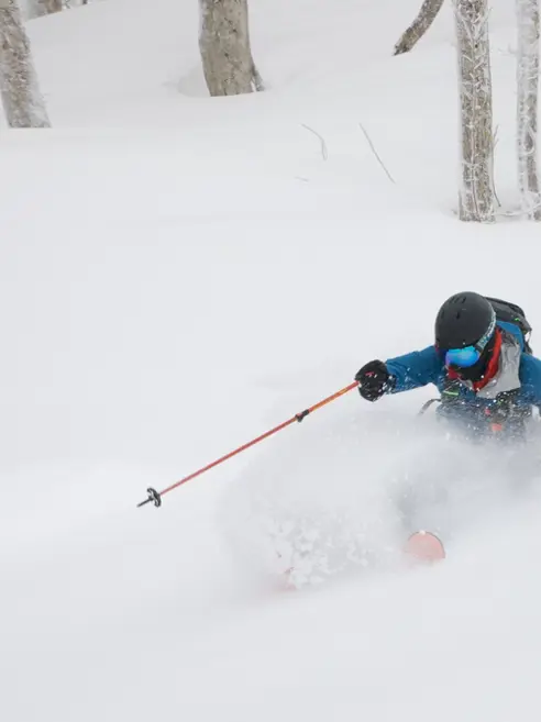 Skiløber i powdersne i Japan