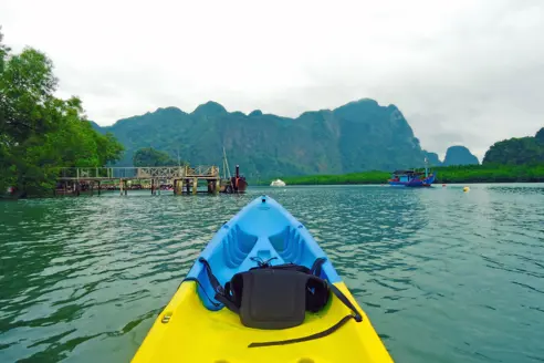 Mangrove