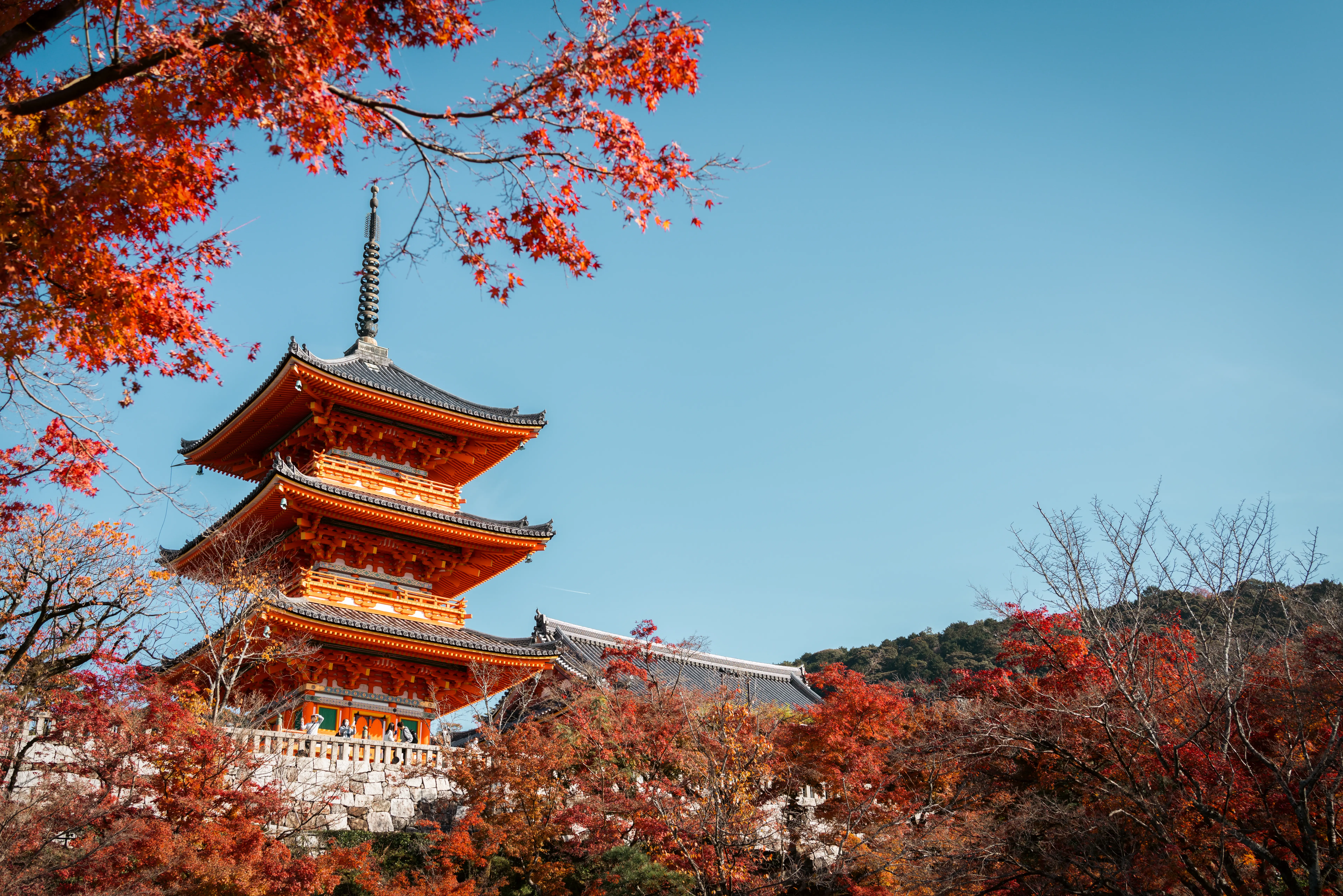 Kiyomizu Dera Temple Kyoto 2242481805 Kopi 2