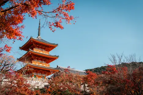 Kiyomizu Dera Temple Kyoto 2242481805 Kopi 2