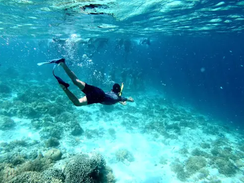 Snorkling
