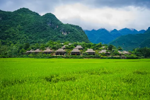 Mai Chai Vietnam