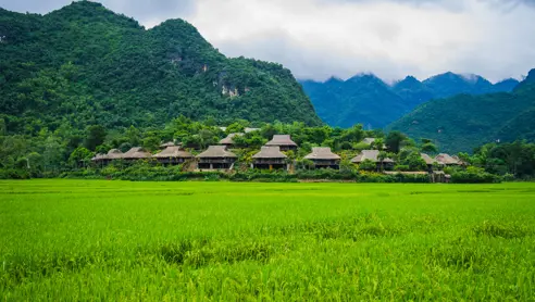 Mai Chai Vietnam
