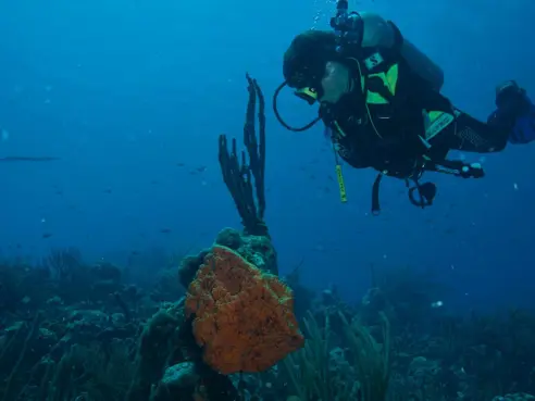 Bonaire (4)