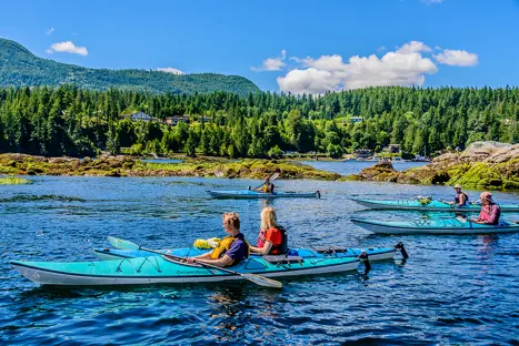 West Coast Wilderness Lodge
