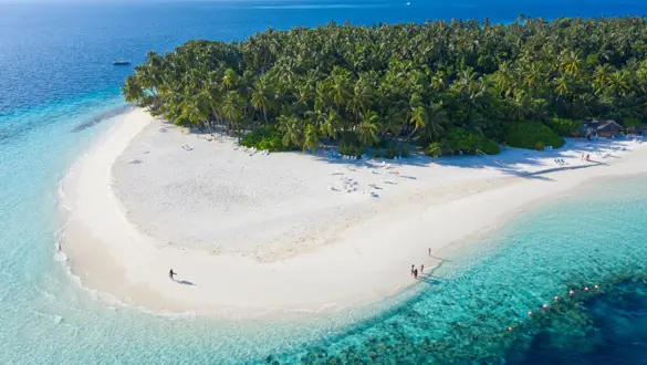 Maldives (4)