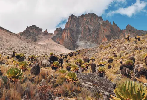 Mount Kenya