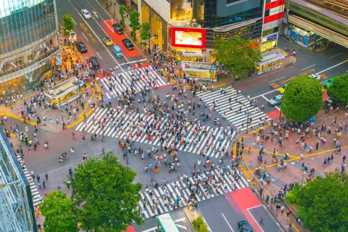 Rejser til Japan og Tokyo
