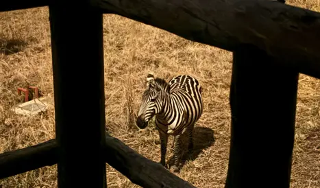 IMG 3006 1 1280X752