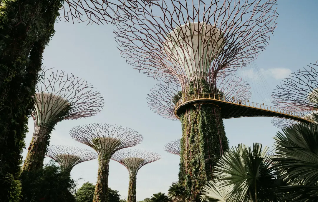Gardens by the Bay (6)