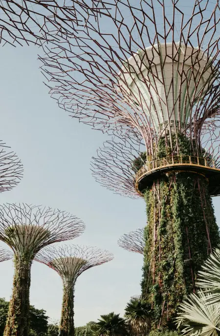 Gardens by the Bay (6)