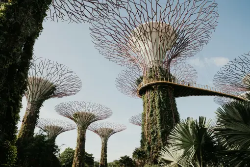 Gardens by the Bay (6)