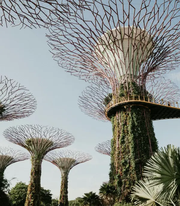 Gardens by the Bay (6)