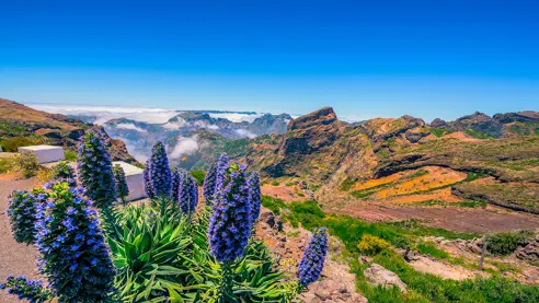 17 Pico Do Areeiro WEB