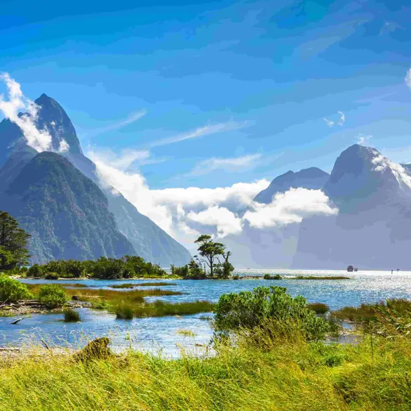Milford Sound sejlads i New Zealand