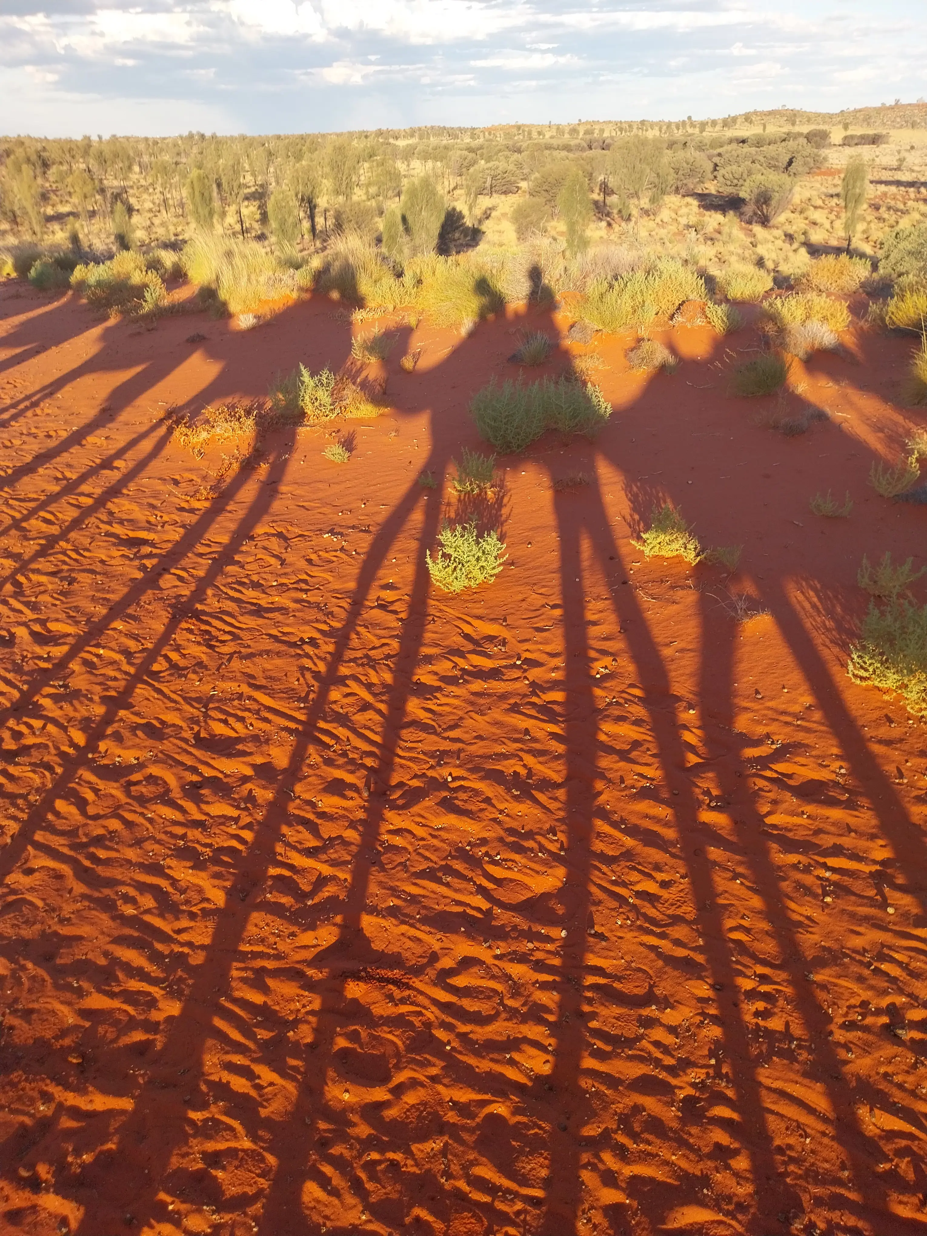 Familien Duvander i Australien (13)