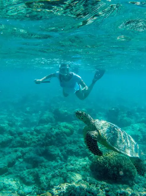 Snorkling (2)