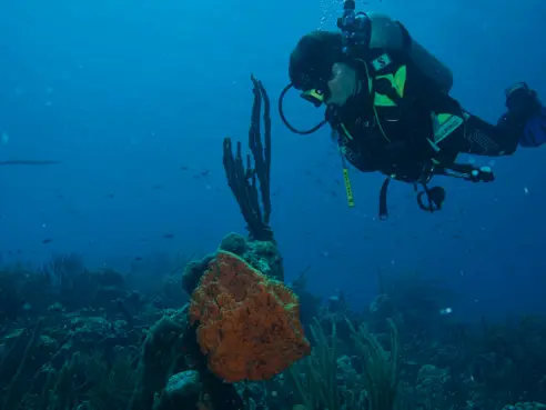 Bonaire (5)