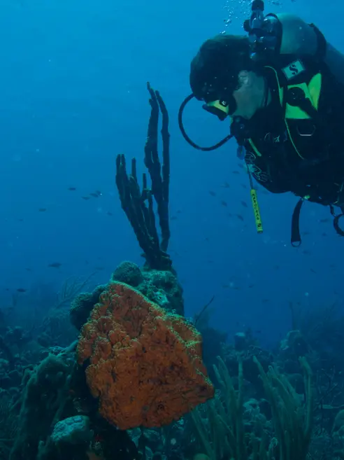 Bonaire (5)