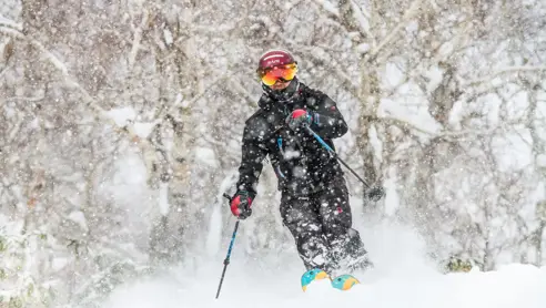 Powder ski på Hokkaido i Japan