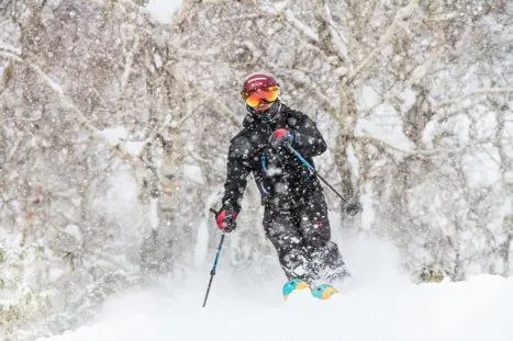 Powder ski på Hokkaido i Japan