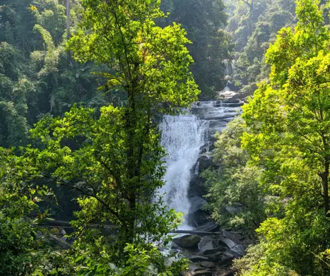 National Park Doi Inthanon (2)