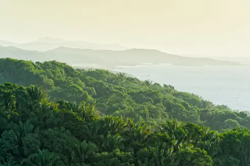 Roatan Honduras