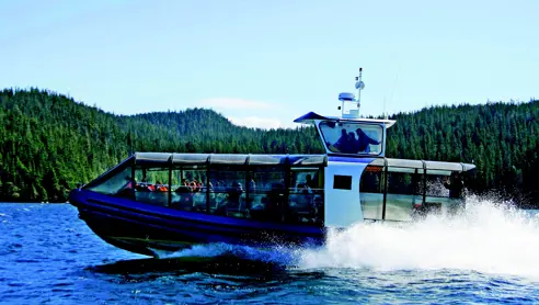 Canada Tofino Hvalsafari