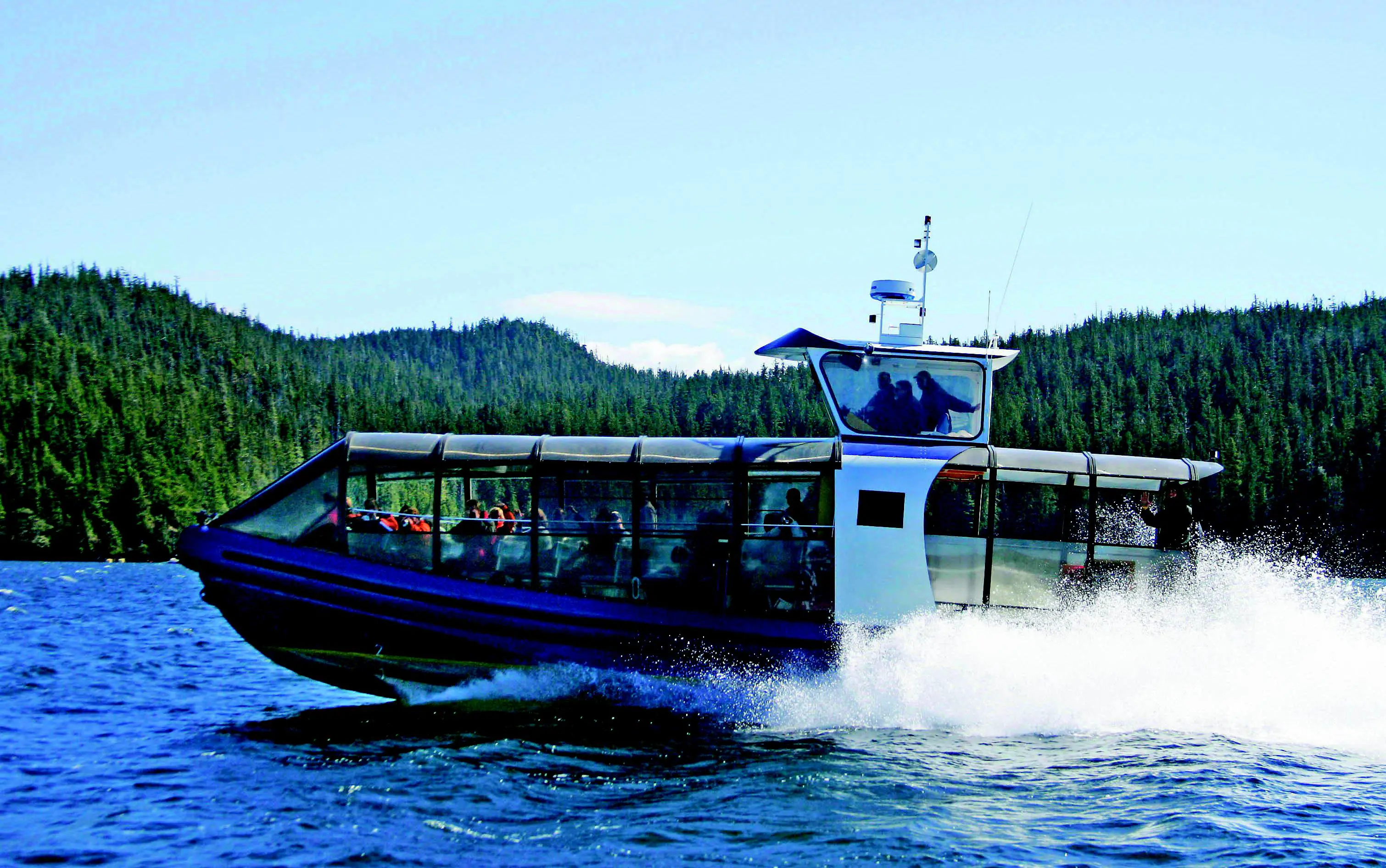 Canada Tofino Hvalsafari