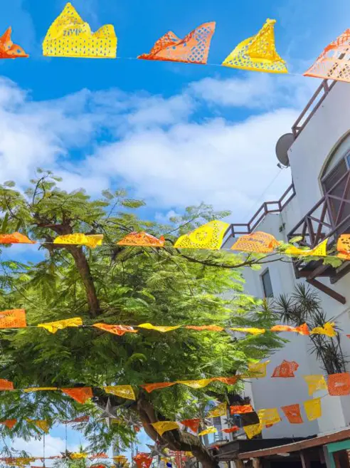 Quinta Avenida 