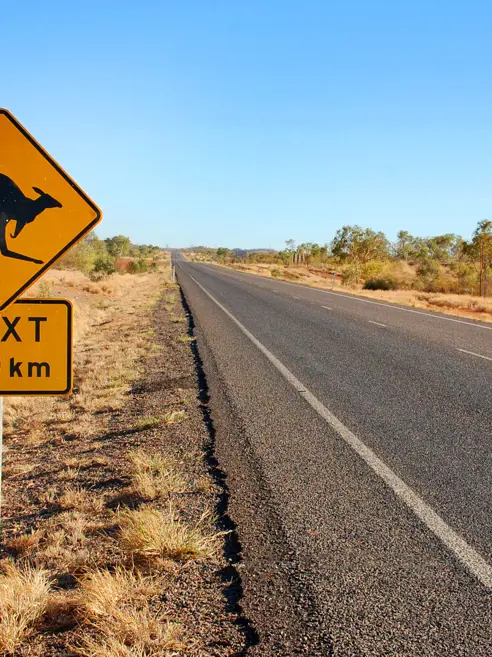 Kænguru skilt i Australien