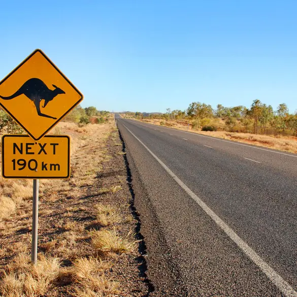 Kænguru skilt i Australien