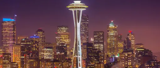 rejseplan-vestekysten-seattle-space-needle.jpg (1)