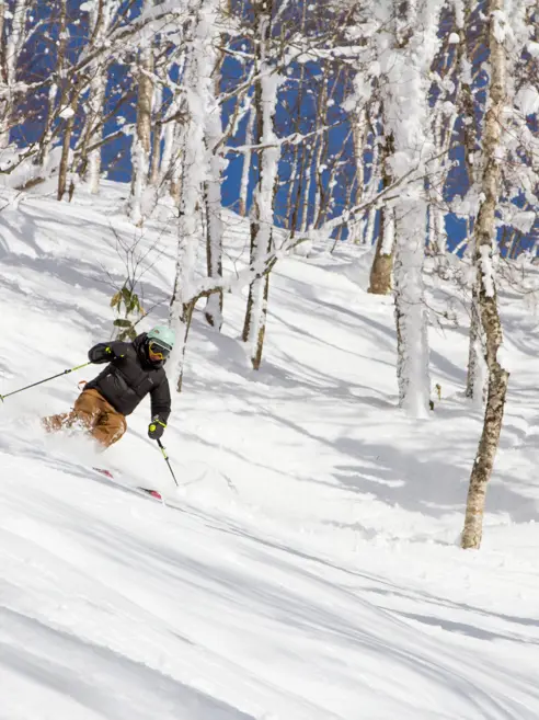 Powder ski på Hokkaido i Japan