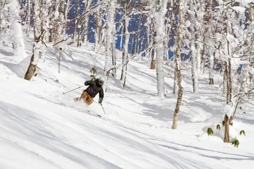Powder ski på Hokkaido i Japan