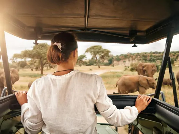 Safari i Tanzania
