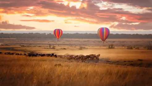 Afrika Kenya Masai Mara Ballon