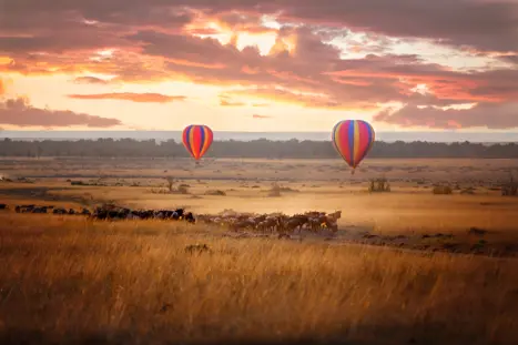 Afrika Kenya Masai Mara Ballon