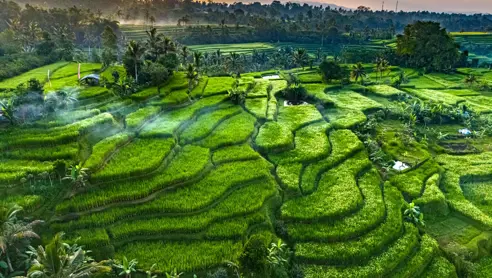 Jatiluwih Rismarker bali