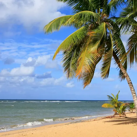 Las Terrenas, Samana