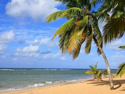 Las Terrenas, Samana
