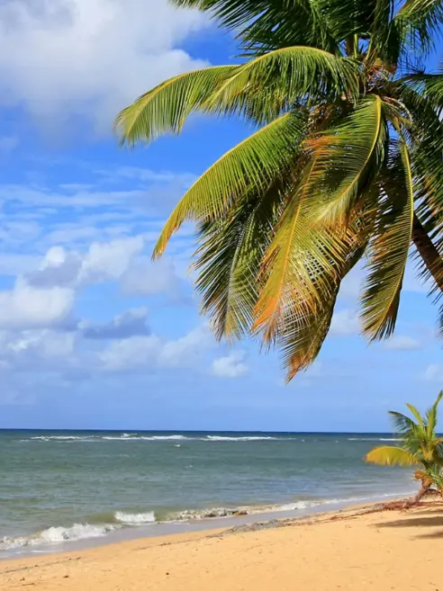 Las Terrenas, Samana