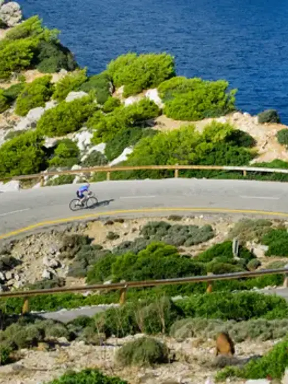 cykel-pmi_551958121.webp