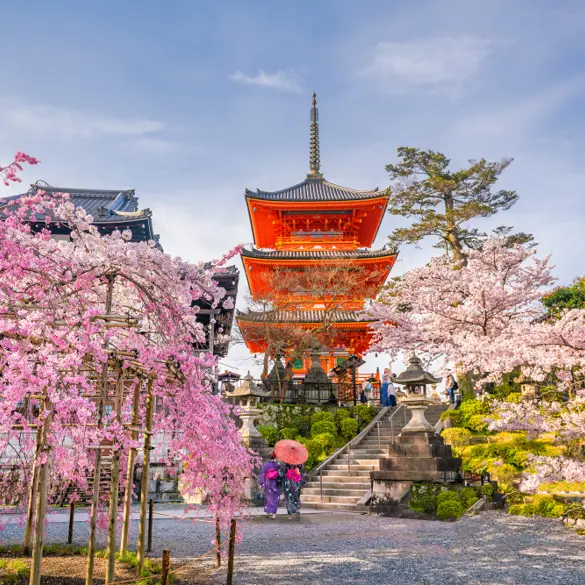Forår i Japan - Kiyomizu-dera Temple i Kyoto