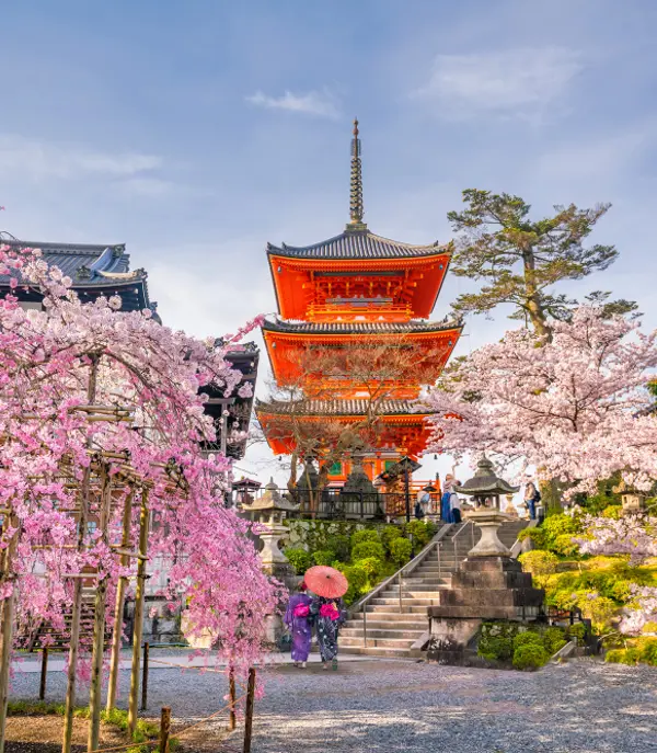 Forår i Japan - Kiyomizu-dera Temple i Kyoto