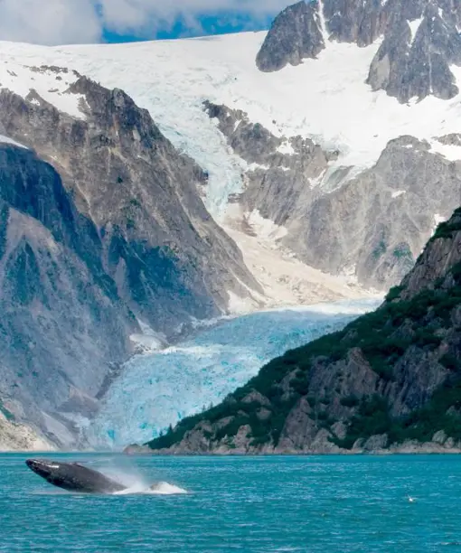 alaska-kenai-fjords.jpg