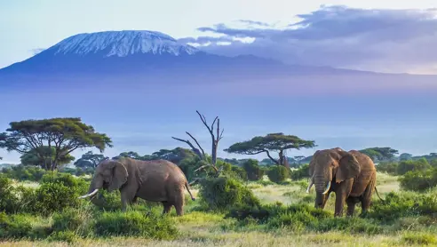 kenya